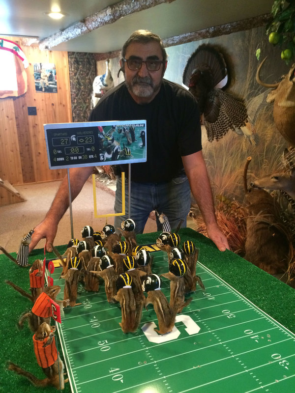 This photo taken Monday, Oct. 26, 2015, shows stuffed chipmunks portraying players on the final play of the Michigan State-Michigan NCAA college football game at the home of taxidermist Nick Saade in Lansing, Mich.  Michigan State's Jalen Watts-Jackson returned a fumble for the game-winning touchdown on Oct. 17. Saade tells the Lansing State Journal that the chipmunks were trapped by friends as nuisance animals. (Judy Putnam/Lansing State Journal via AP)  NO SALES; MANDATORY CREDIT